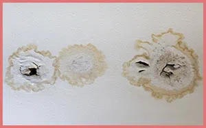 Coral Springs Restoration Company Coral Springs, FL 954-354-2061 - content-water-leaks