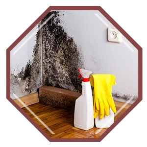 Coral Springs Restoration Company, Coral Springs, FL 954-354-2061 - sb-ser-03