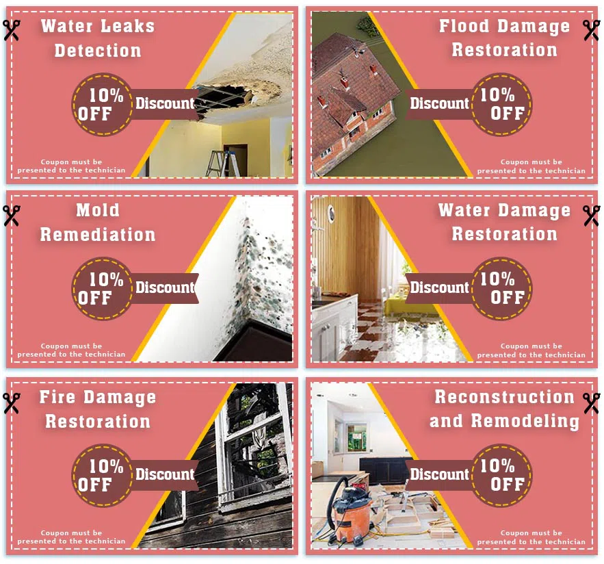 Coral Springs Restoration Company Coral Springs, FL 954-354-2061 - set-3